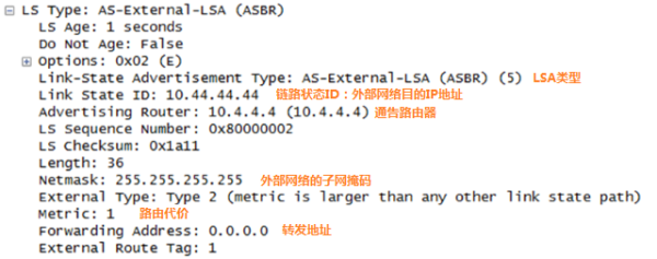 图22 AS-external-LSA信息.png