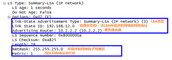 图18 Network-summary-LSA信息.png